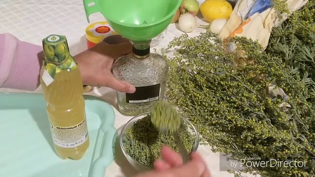 ПОЛЫНЬ ВЕЛИКАЯ! ЛЕЧЕНИЕ ПОЛЫНЬЮ УБИВАЕТ ВСЮ ПРОСТЕЙШУЮ ИНФЕКЦИЮ В ОРГАНИЗМЕ! И ГОНИТ ПАРАЗИТОВ!