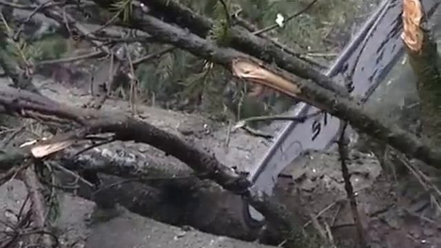 Штормовой ветер валил деревьев и обрывал провода