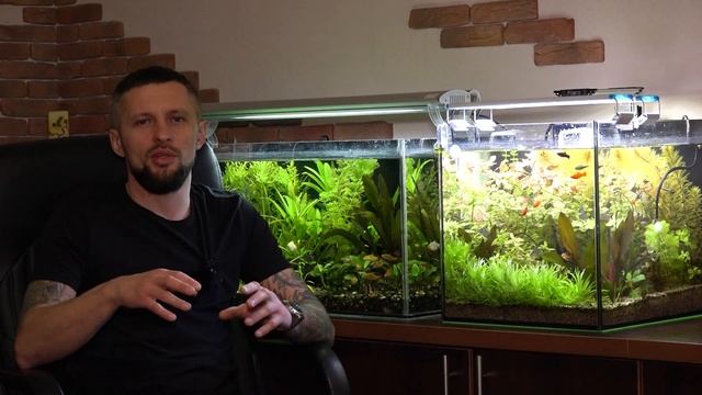 Что такое хлороз аквариумных растений смотреть онлайн