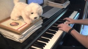 Полонез Огинского "Прощание с Родиной"