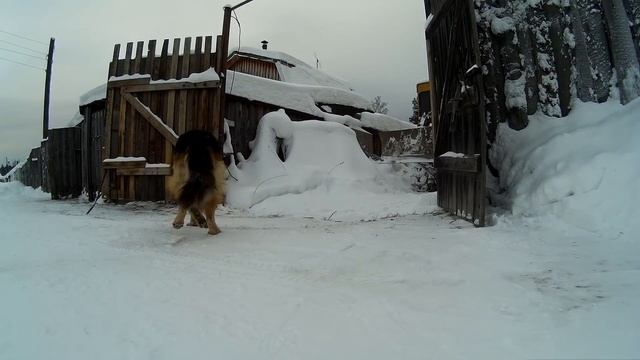 ДТ-75. Стартер, дырка, снег смотреть онлайн