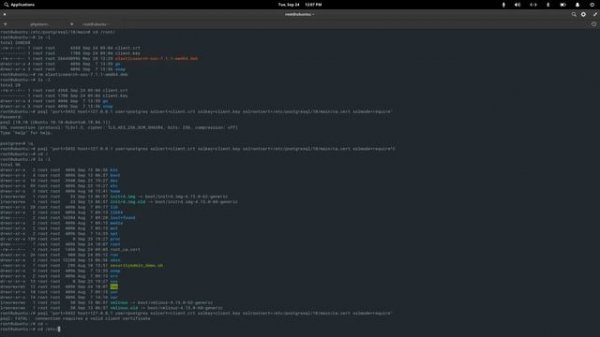 Postgres SSL and Certificate Connection Settings