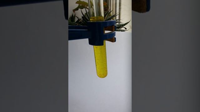 Растворение осадка хромата свинца в азотной кислоте смотреть онлайн