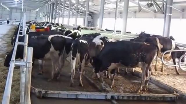 Скреперы Дейримастер с гидравлическим приводом смотреть онлайн