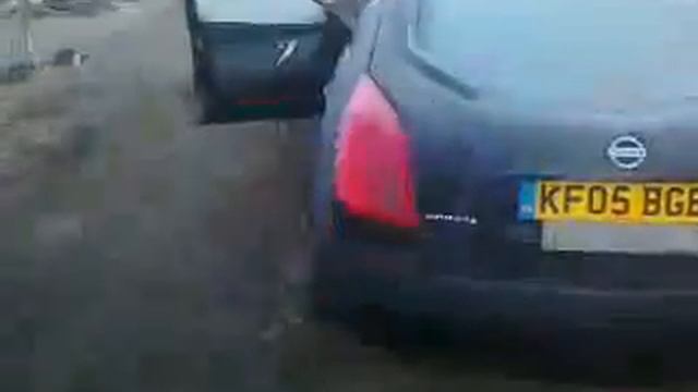 NISSAN PRIMERA 2004 1.8L BENZ HACBEK 4_5D EN EURO IPMEX UTENA смотреть онлайн