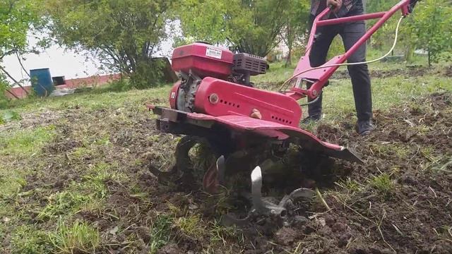 Motoblok Fermer FM 811 MX Frez Vurma
