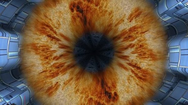 Тестирование Palit GeForce GTS 450 (1024MB DDR3) в Furmark