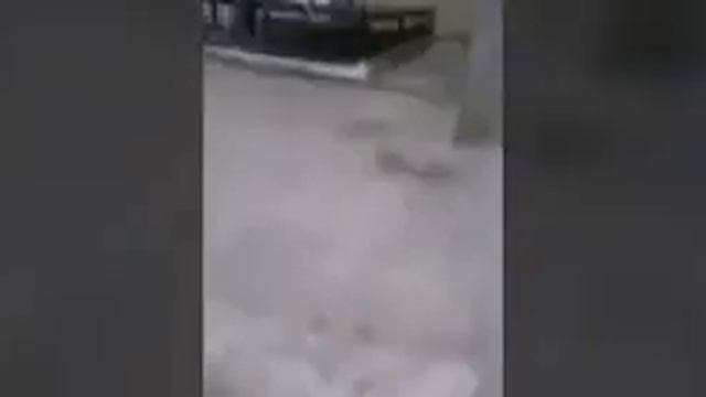 Показывают свой город (часть 4) смотреть онлайн