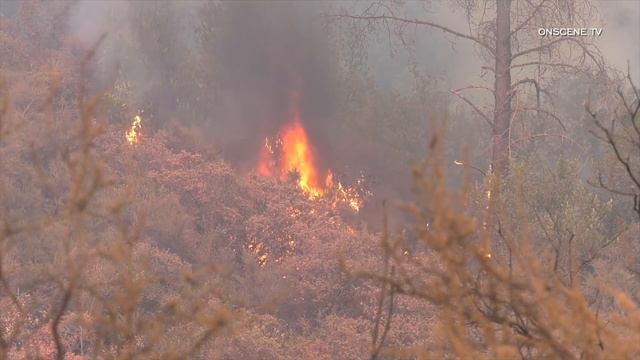 50,000 Acre Glass Fire Rages Through Day 5 смотреть онлайн