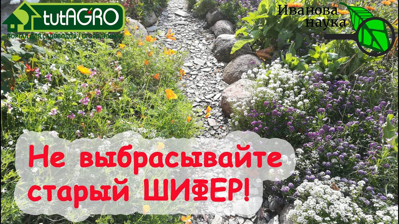 Иванова Наука