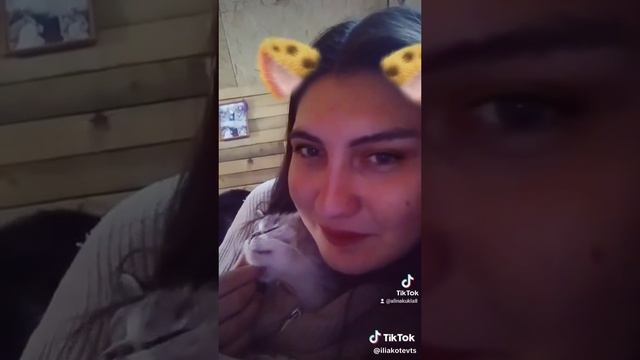 Моя сладкая кошка