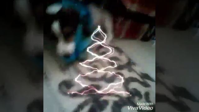 Модная одежда для собаки🐕🐶🐾👚👡👚👑👒👒🎩👒 смотреть онлайн