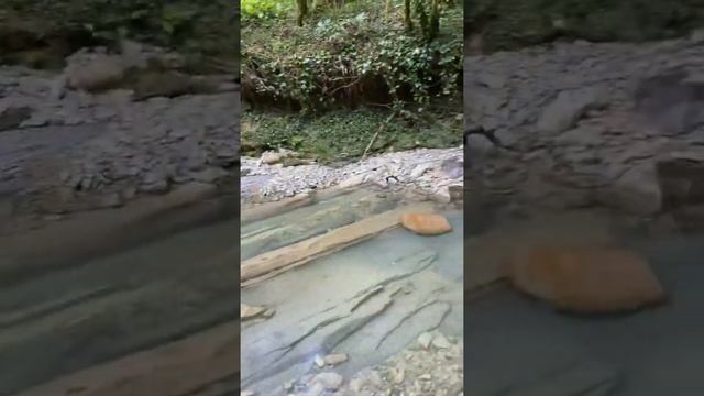 Прогулка по ущелью реки Буу, посёлок Вардане, город Сочи смотреть онлайн