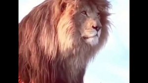 НАШИД красивый Нашид без музыки