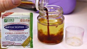 Замачивание семян томатов и огурцов в фитоспорине как гарантия 100 всхожести! Фитоспорин семена!