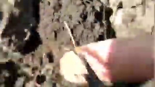 Хрущ в клубнике.Шок!!! смотреть онлайн