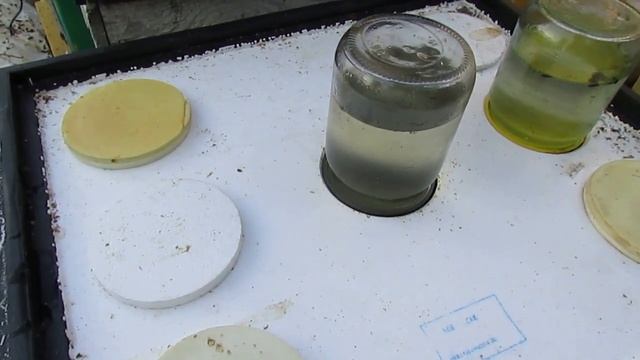 пополнение кормов пчелам после зимовки - медовые рамки, сироп, установка поилок для пчел смотреть онлайн