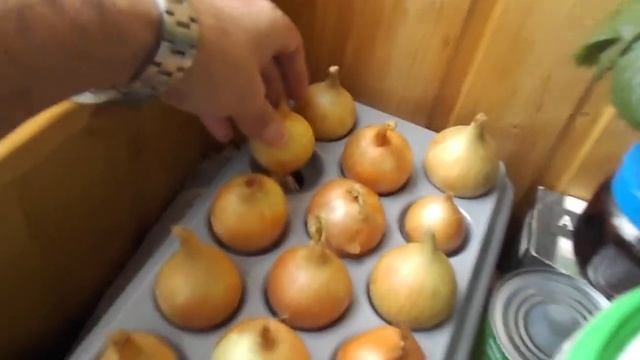 Тестирую установку "Луковое счастье" 1 часть (начало). смотреть онлайн