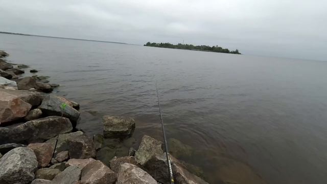 Подлещик на дамбе. Рыбалка 22.07.16. Учись - и поймаешь! смотреть онлайн