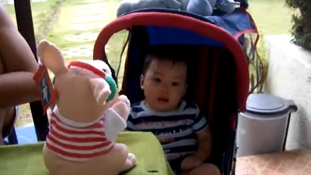 Baby n Piggy смотреть онлайн