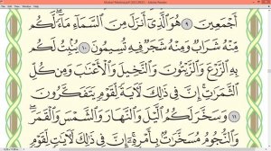 Шейх Айман Сувейд сура Ан Нахль стр 268