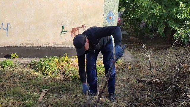 Садим клубнику , пилим дрова . Обновка на участке . смотреть онлайн