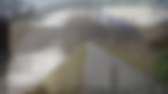 WB150 CAMERA PICS SWANS SANTA CRUZ CANAL RIDE INC SOME ZOOM PICS смотреть онлайн