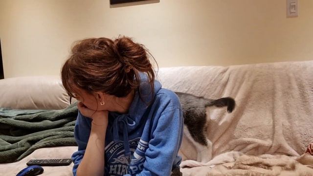 Не уследили и собака налокалась вина. Сибирская хаски смотреть онлайн