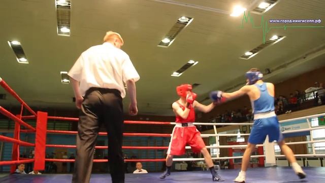 На пути к финалу за кубок Губернатора в турнире по боксу в Кингисеппе (Фото и видео) смотреть онлайн