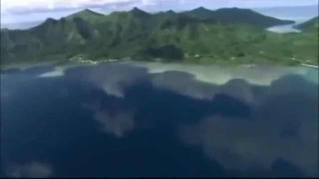 Composer And Musician