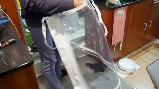 How to make a boat enclosure for $500 DIY using a normal sewing machine - Sailing Bluefin: Ep 25 смотреть онлайн