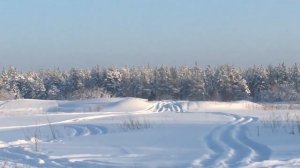 МОТОВЕЗДЕХОД, ТРИЦИКЛ Paxus Велес 3х3 Maxi