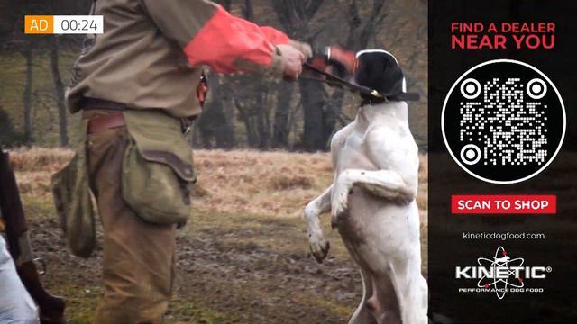 31Kilo: The Military Working Dog смотреть онлайн