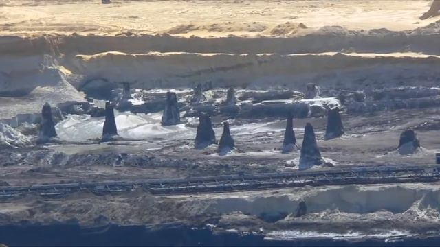 Древние остатки деревьев кипарисов на подобие кремниевых форм жизни смотреть онлайн