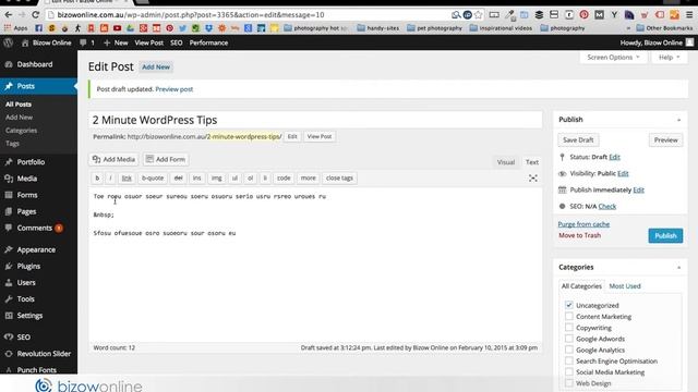 Understanding the WordPress WYSIWYG Editor Tabs смотреть онлайн