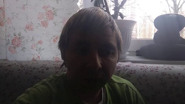 не приходят заказы по Яндексу от слова совсем что делать? смотреть онлайн