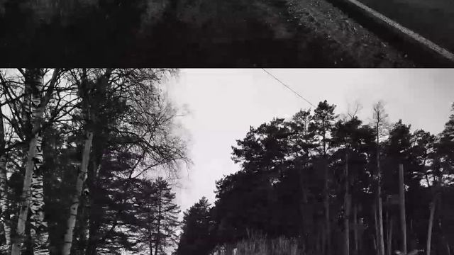 Чёрно-белое фото смотреть онлайн