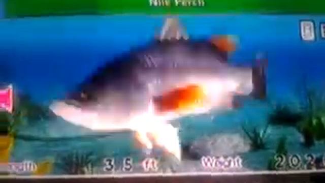 Fishing master world tour almost all fishes!!=-O смотреть онлайн