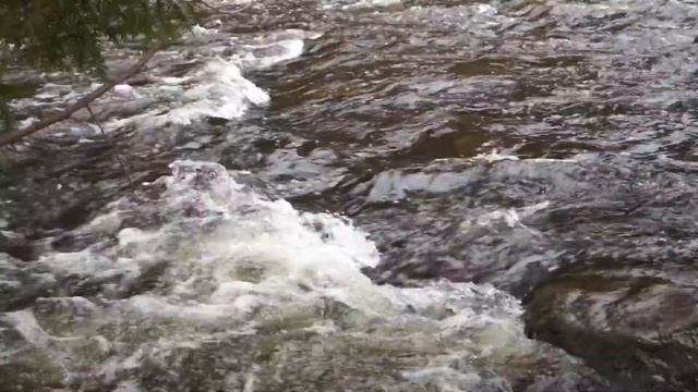 SONY Alpha A35 SLT-A35K Digital Camera Test Video #2 смотреть онлайн