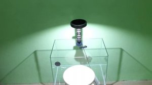 Светильник NeoSolar фирмы Naito INTENSE 40Вт