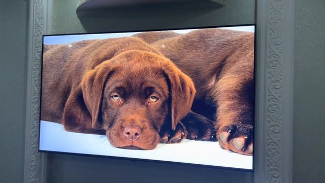 Умный телевизор за 108 К . LG 65NANO816PA обзор