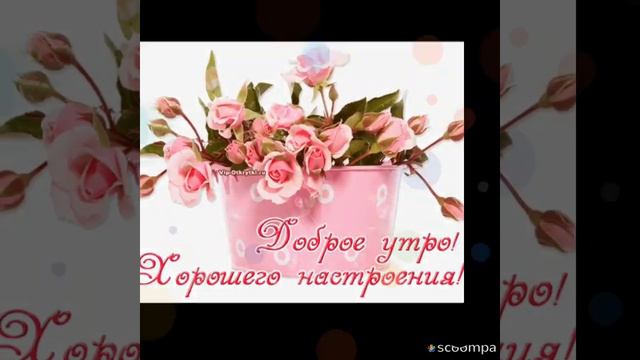 Доброго осеннего утра друзья!