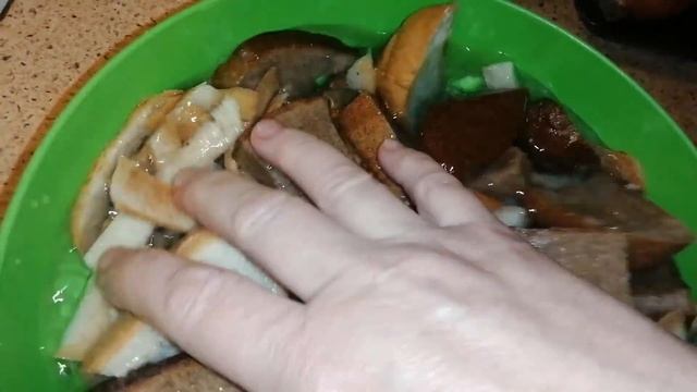 МОЖНО ЛИ ДАВАТЬ ХЛЕБ КУРАМ смотреть онлайн