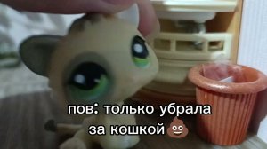 LPS:и так всегда