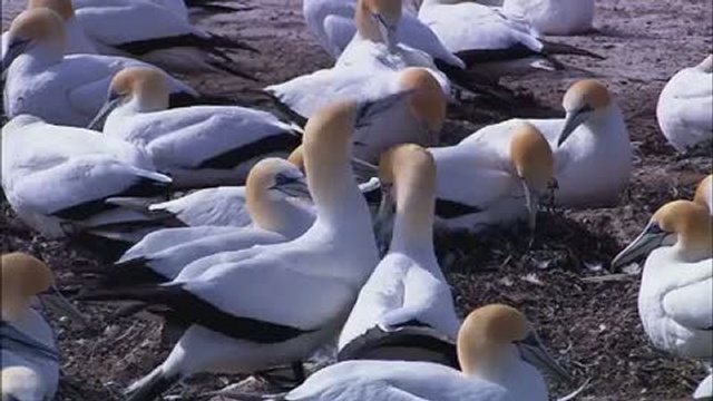 живая природа