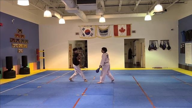 TAEKWONDO Target Practice Training! смотреть онлайн