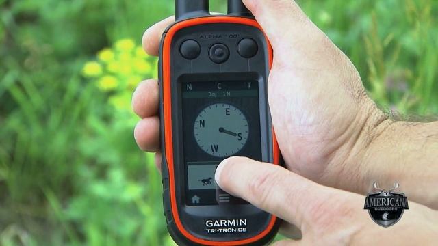 GARMIN ALPHA TRACK AND TRAIN YOUR DOGS смотреть онлайн