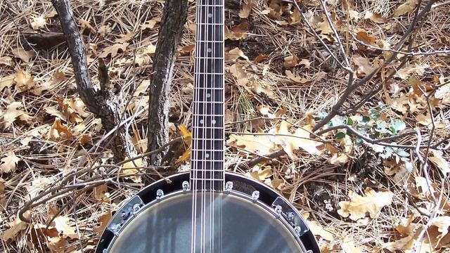 "Santa Lucia" ~ Gold Tone "Octajo" octave mandolin banjo смотреть онлайн