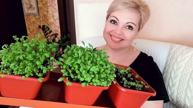 Важен Островок СПОКОЙСТВИЯ... #ТатьянаКильмяшкина смотреть онлайн