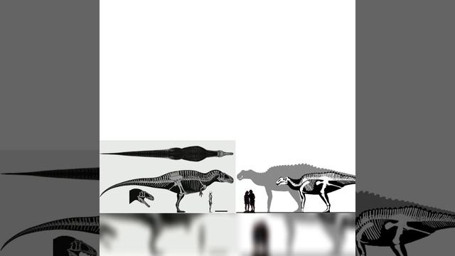 Acrocanthosaurus And Gryposaurus Size Comparison смотреть онлайн